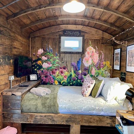 Green Hammerton Skipbridge Farm Glampingヴィラ エクステリア 写真