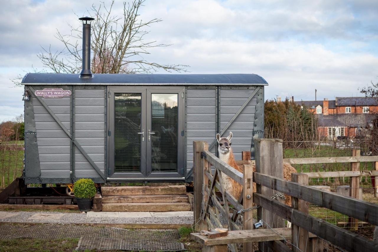 Green Hammerton Skipbridge Farm Glampingヴィラ エクステリア 写真